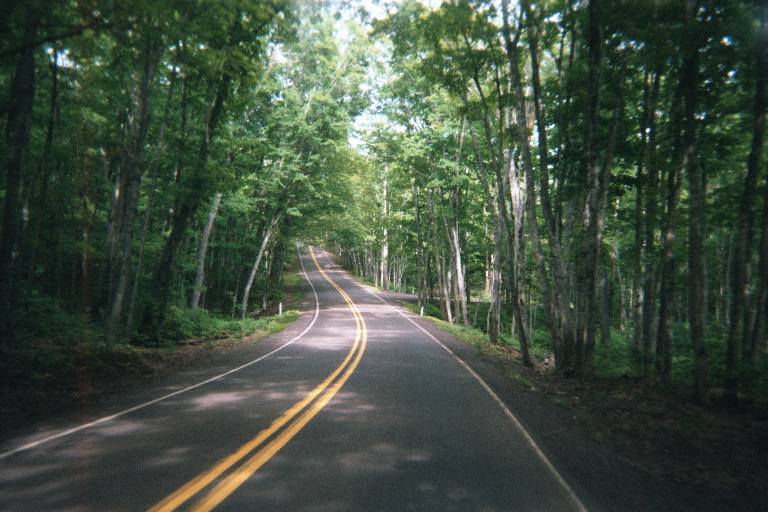US-41N in the woods