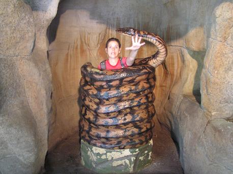 And YES, it�s really a real snake...