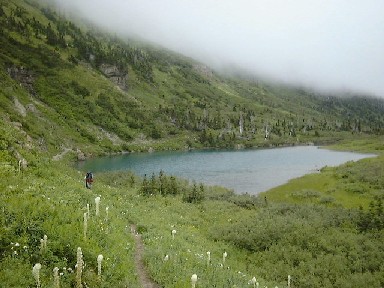 Lake Francis