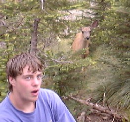 Stoney Indian Pass