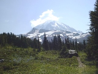 Mt. Reinier