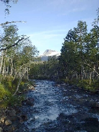 Snota