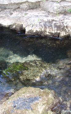 Deep in the holler...