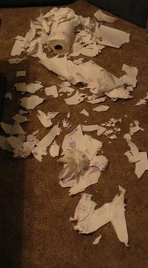 One Dog's Handiwork