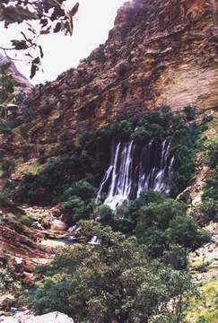 Talezang81_01.JPG