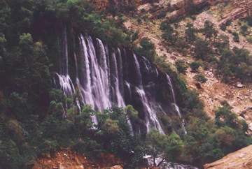 Talezang81_03.JPG