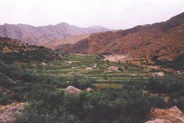 Talezang81_04.JPG