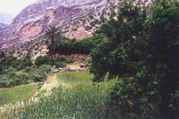 Talezang81_05.JPG