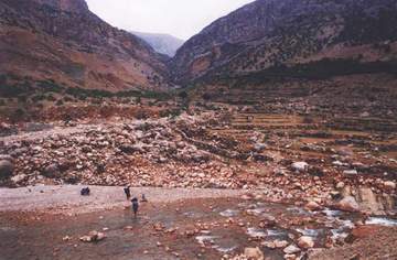 Talezang81_06.JPG