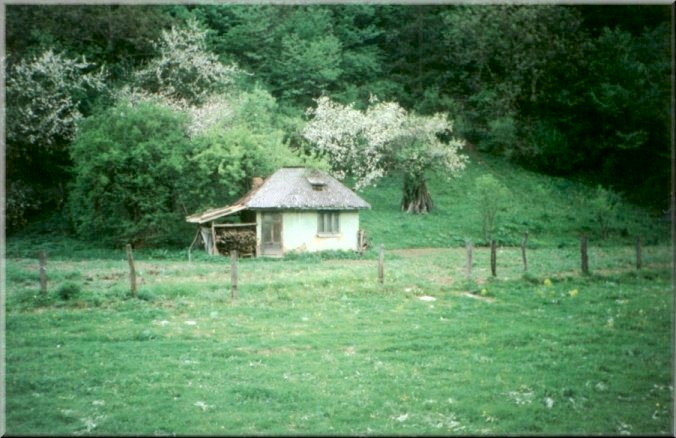 Piatra Neamt, Romania: Little Old House