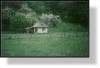 Little Old House