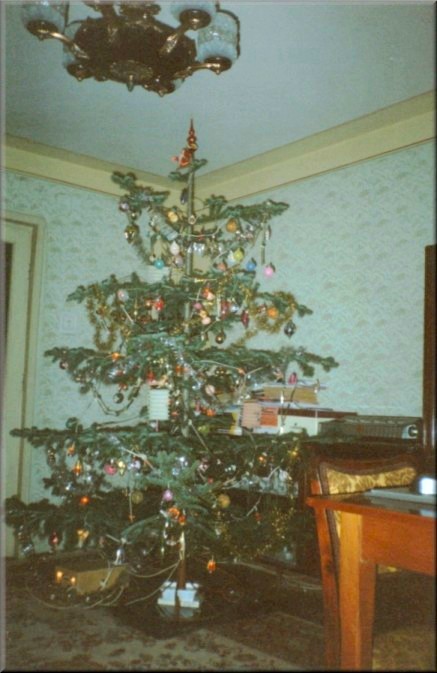 Home: Christmas Tree