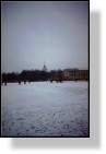 St. Petersburg