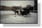 St. Petersburg Photos