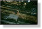Zoo