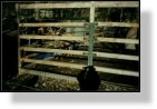 Zoo