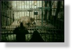 Zoo