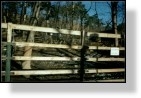 Zoo
