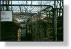 Zoo