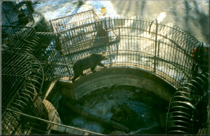 Piatra Neamt, Romania: Zoo
