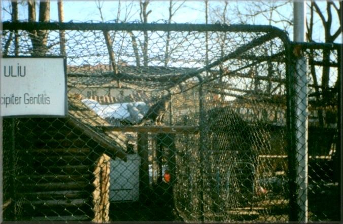 Piatra Neamt, Romania: Zoo
