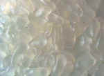 Click to enlarge !
