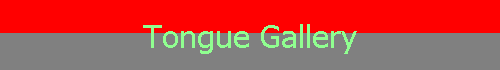 Tongue Gallery