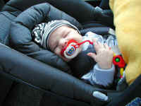 Daniel_3.jpg (82867 Byte)