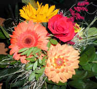 Daniel_4.jpg (126884 Byte)