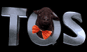 TQS le Mouton noire de la t�l� 