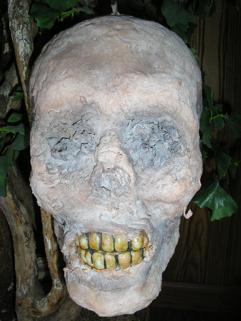 BUDGET ZOMBIE HEAD
