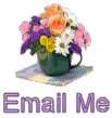 *Email Me*
