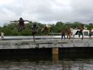 080500_264.jpg (46 K)