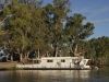 P4021807.jpg (136 K)