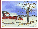 Rabbit In The Snow 21