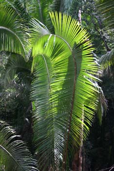 IMG_0837