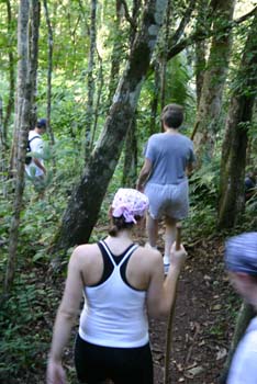 IMG_0941