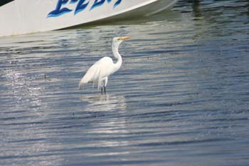 IMG_1064