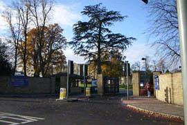 Visit the University of Surrey Roehampton Homepage!