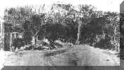 Alum Mountain(PD).jpg (28014 bytes)