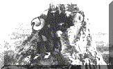 Lady Macquaries Chair(PD).gif (21148 bytes)