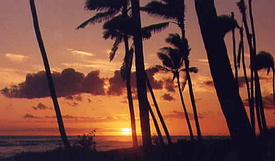 hawaii sunset