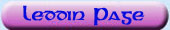 Leddin Website