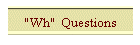 "Wh"  Questions