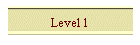 Level 1