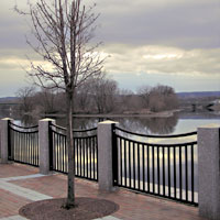 Schenectady Tree