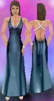 Midnight Blue Gown 
(Front and Back)
