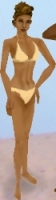 Gold Bikini