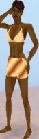 Gold Bikini with Shorts