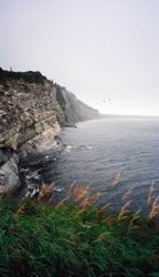 Vue sur le parc Forillon